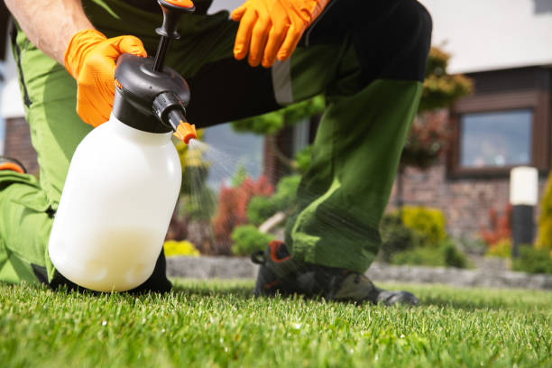 Best Pest Control Near Me in Steeleville, IL
